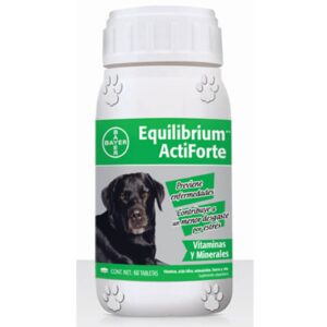 EQUILIBRIUM ACTIFORTE 60 TABS NL