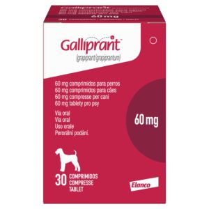 GALLIPRANT 60 MG 30 TAB NL