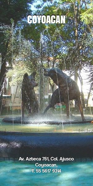 WhatsApp Image 2026-01-15 at 10.20.01 AM