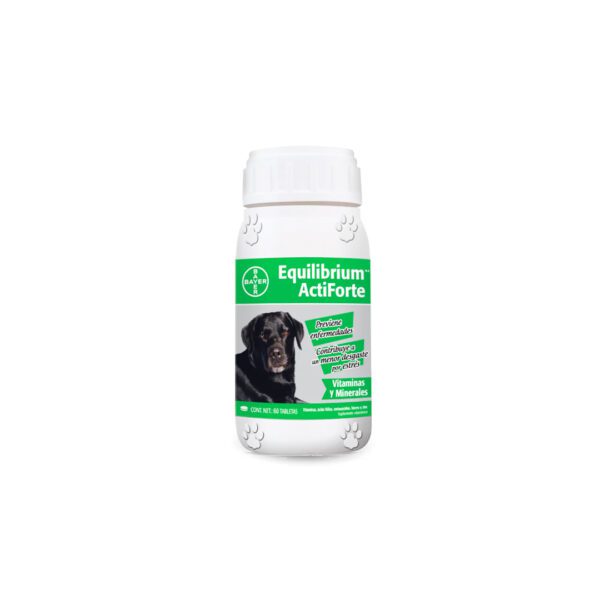 EQUILIBRIUM ACTIFORTE 60 TABS NL