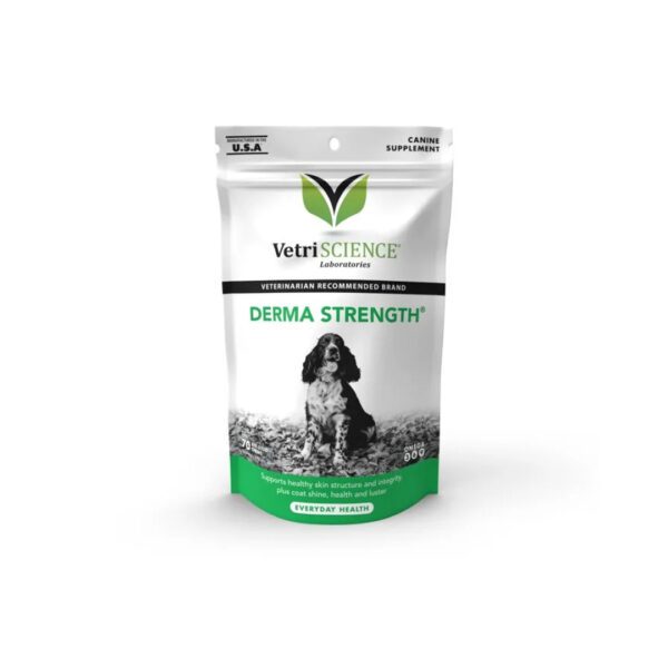 DERMASTRENGH 70 MASTICABLES NL