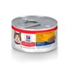 FELINE MATURE ADULT 7+ .34 LB EN LATA