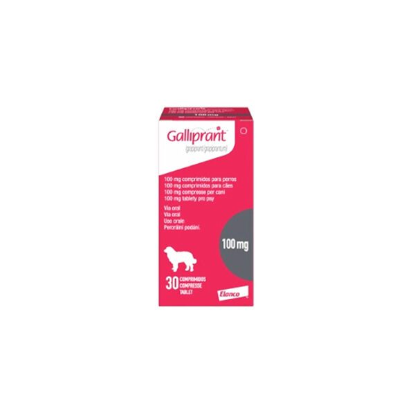 GALLIPRANT100 MG 30 TAB NL