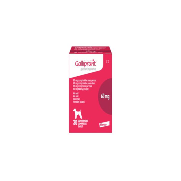 GALLIPRANT 60 MG 30 TAB NL