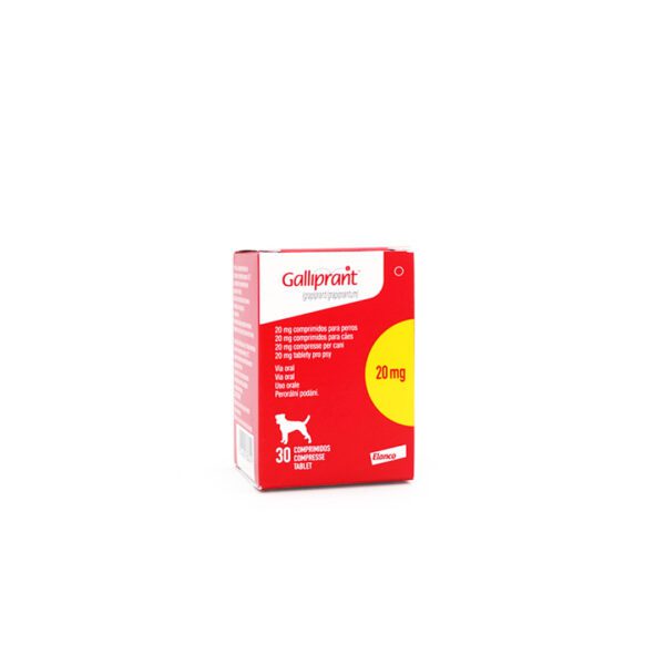 GALLIPRANT 20 MG 30 TAB NL