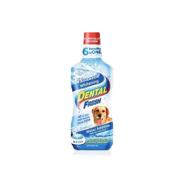 DENTAL FRESH ORIGINAL 236 ML